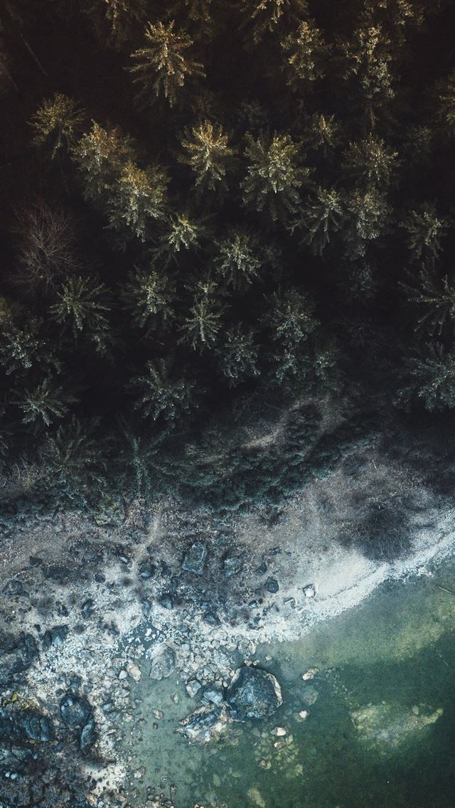 640x1136 aerial view photography of beach and green forest - germany iPhone Wallpaper