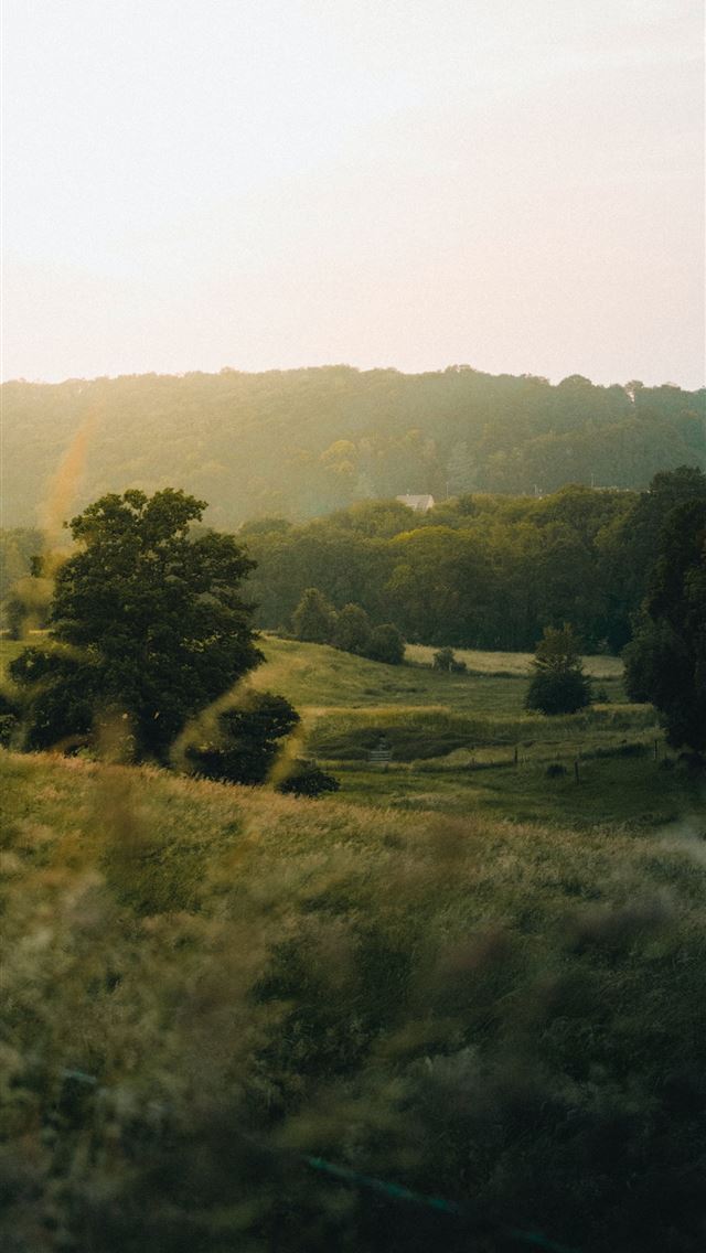 640x1136 aerial photo of green field during daytime - france iPhone Wallpaper