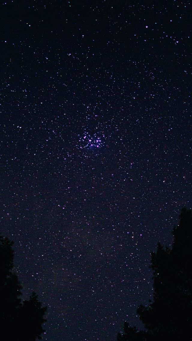 silhouette of trees under starry night iPhone wallpaper 