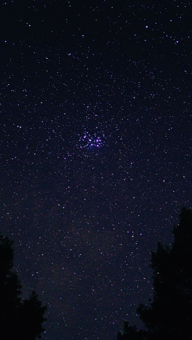 640x1136 silhouette of trees under starry night - night sky iPhone Wallpaper