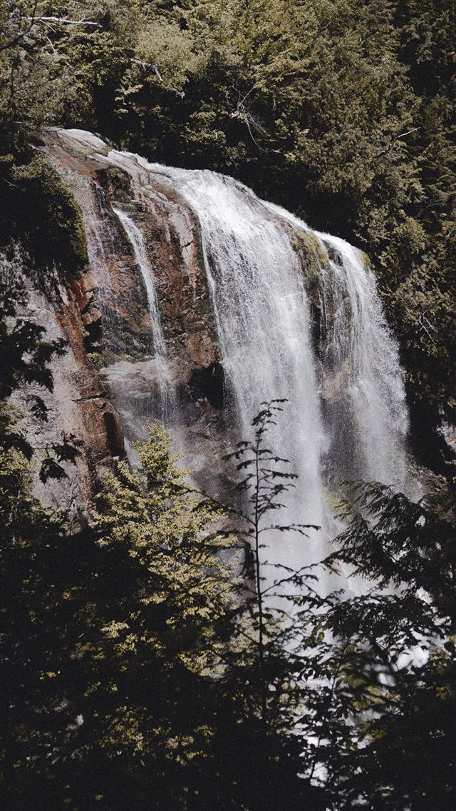 waterfalls surrounded trees iPhone wallpaper 