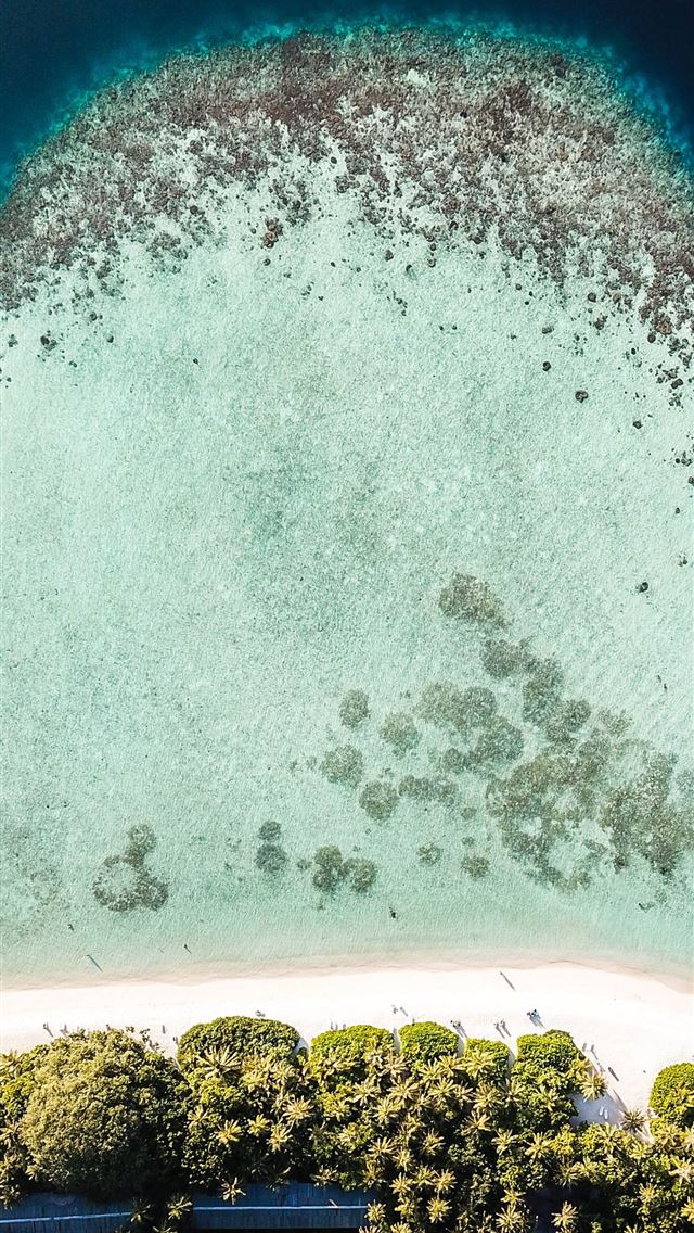 640x1136 high angle photography of trees and sand - maldives iPhone Wallpaper