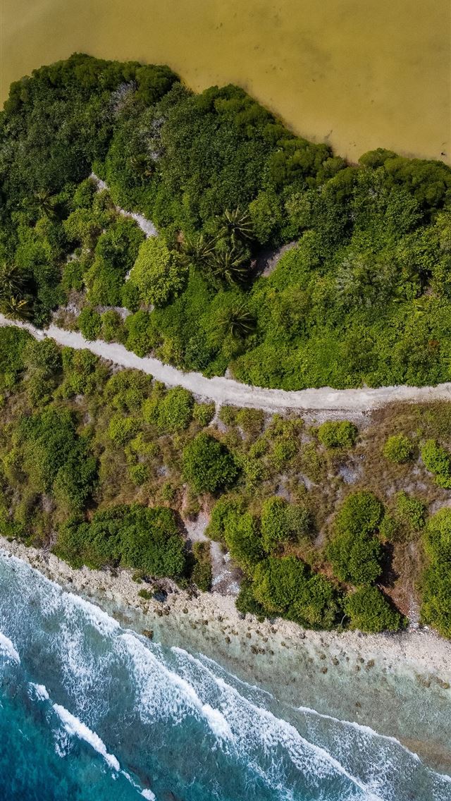 640x1136 aerial view of green trees beside body of water du... - maldives iPhone Wallpaper
