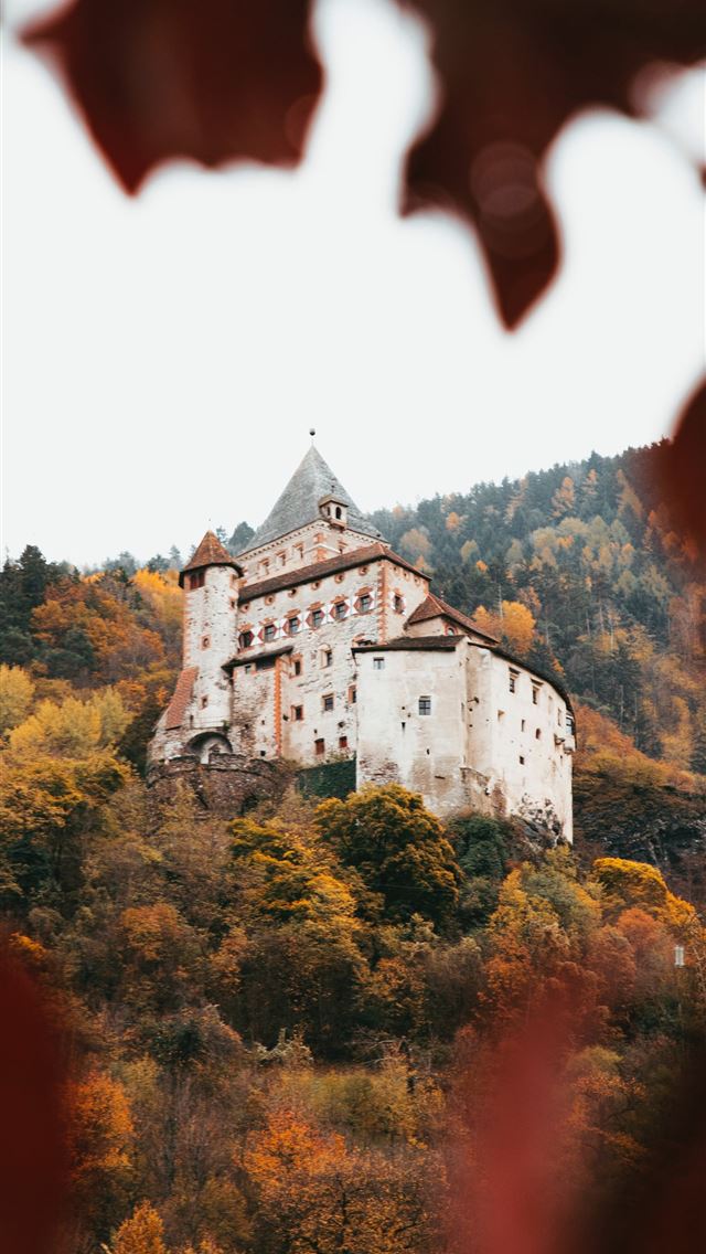 640x1136 white and brown building - germany iPhone Wallpaper