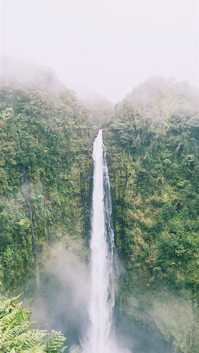 640x1136 Foggy Akaka falls in Big island - united states iPhone Wallpaper