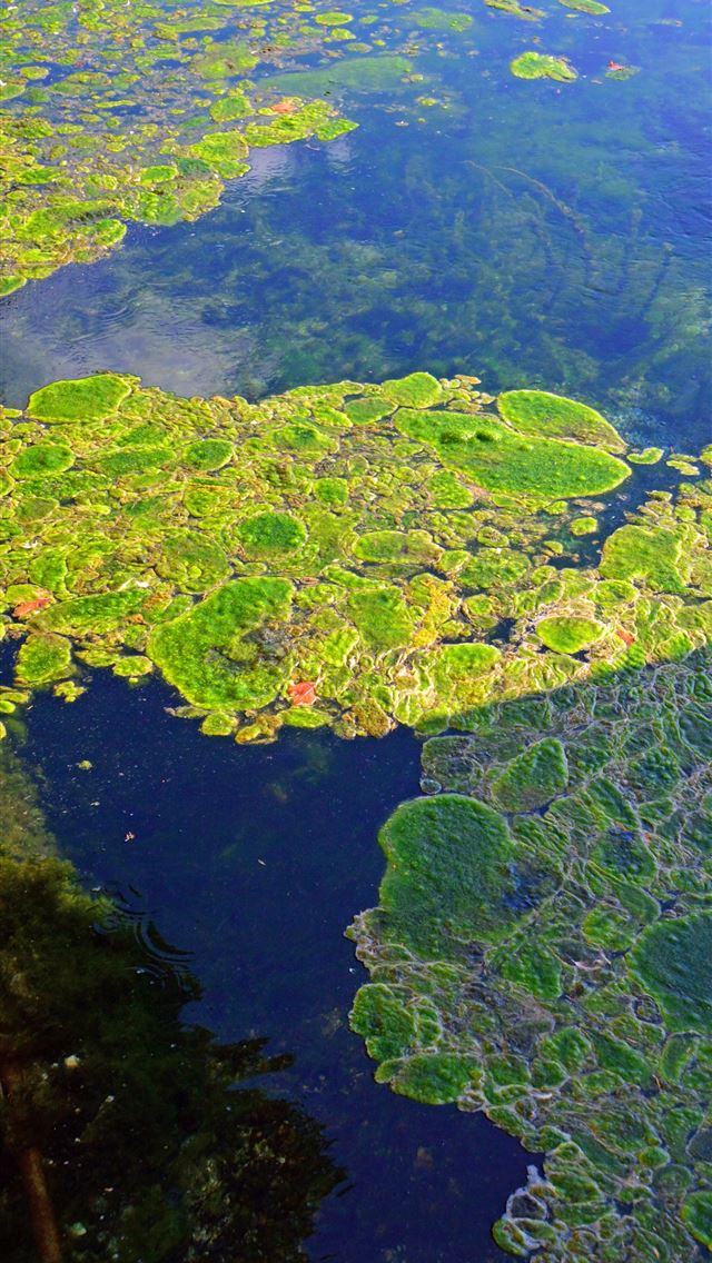 640x1136 Lake District - united kingdom iPhone Wallpaper