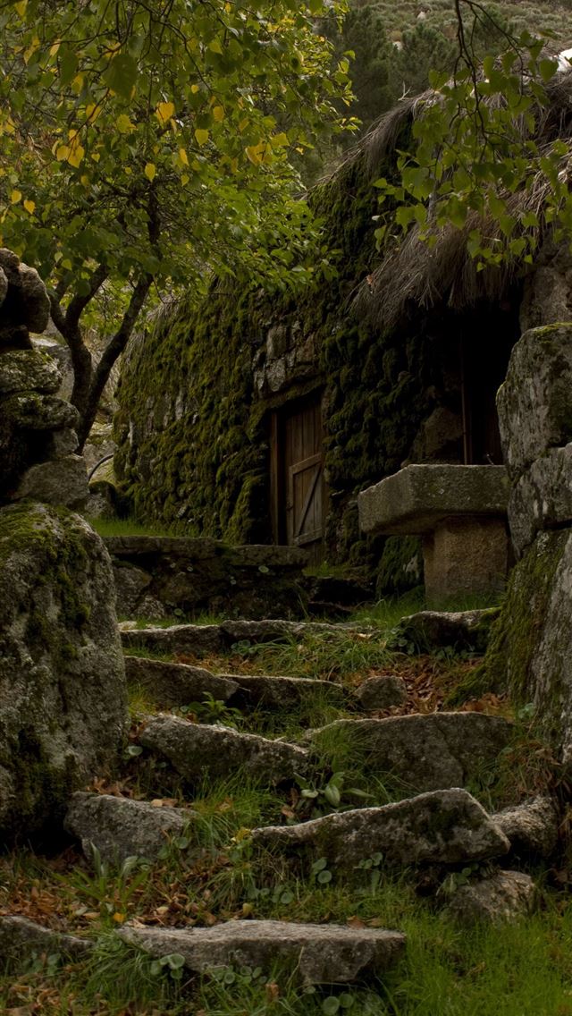 640x1136 Dark Hedges - dark hedges iPhone Wallpaper
