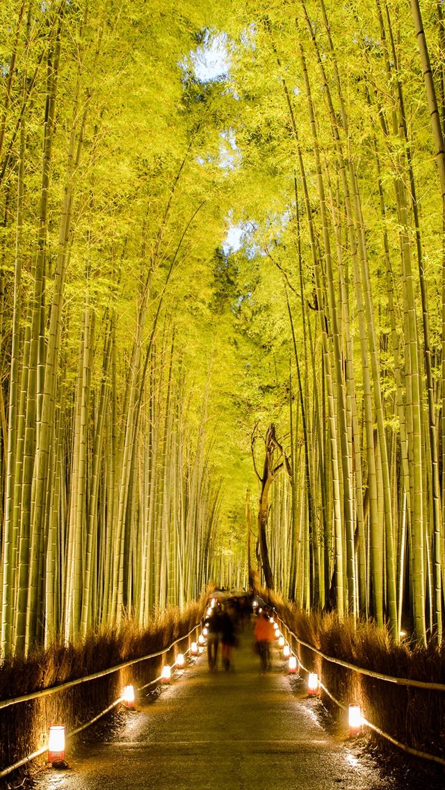 640x1136 Sagano Bamboo Forest - kyoto iPhone Wallpaper