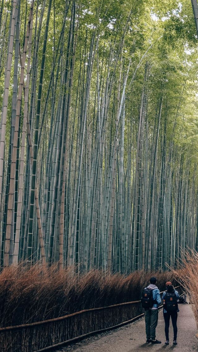 640x1136 Sagano Bamboo Forest - japan iPhone Wallpaper