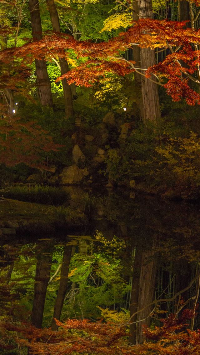 640x1136 Sagano Bamboo Forest - kyoto iPhone Wallpaper