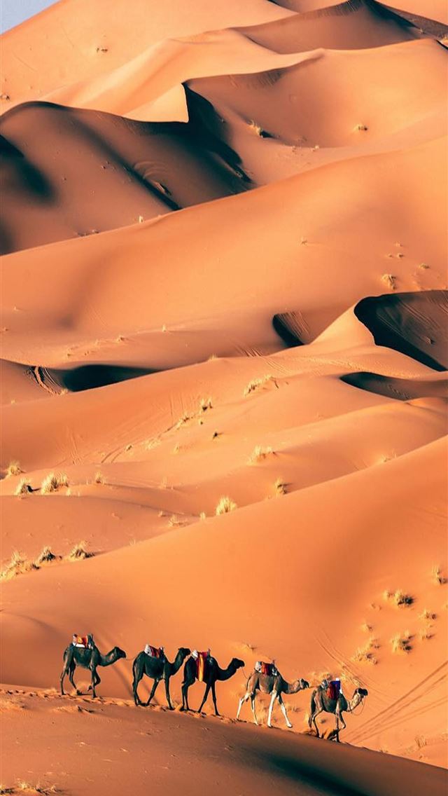 640x1136 Huacachina - huacachina iPhone Wallpaper