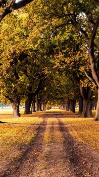 Sutherland Falls wallpaper