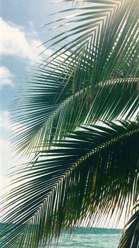 Laguna Verde wallpaper