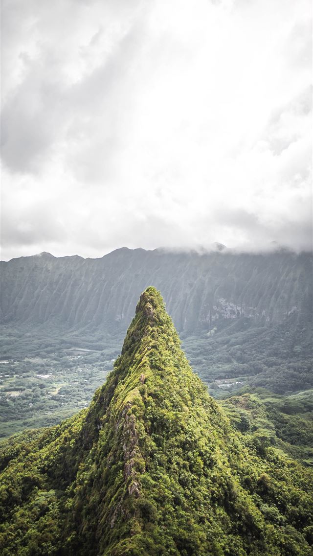 640x1136 green leafed trees under white clouds during dayti... - cloud iPhone Wallpaper