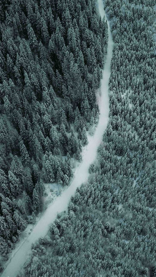 640x1136 aerial photography of a pathway between trees - landscape iPhone Wallpaper