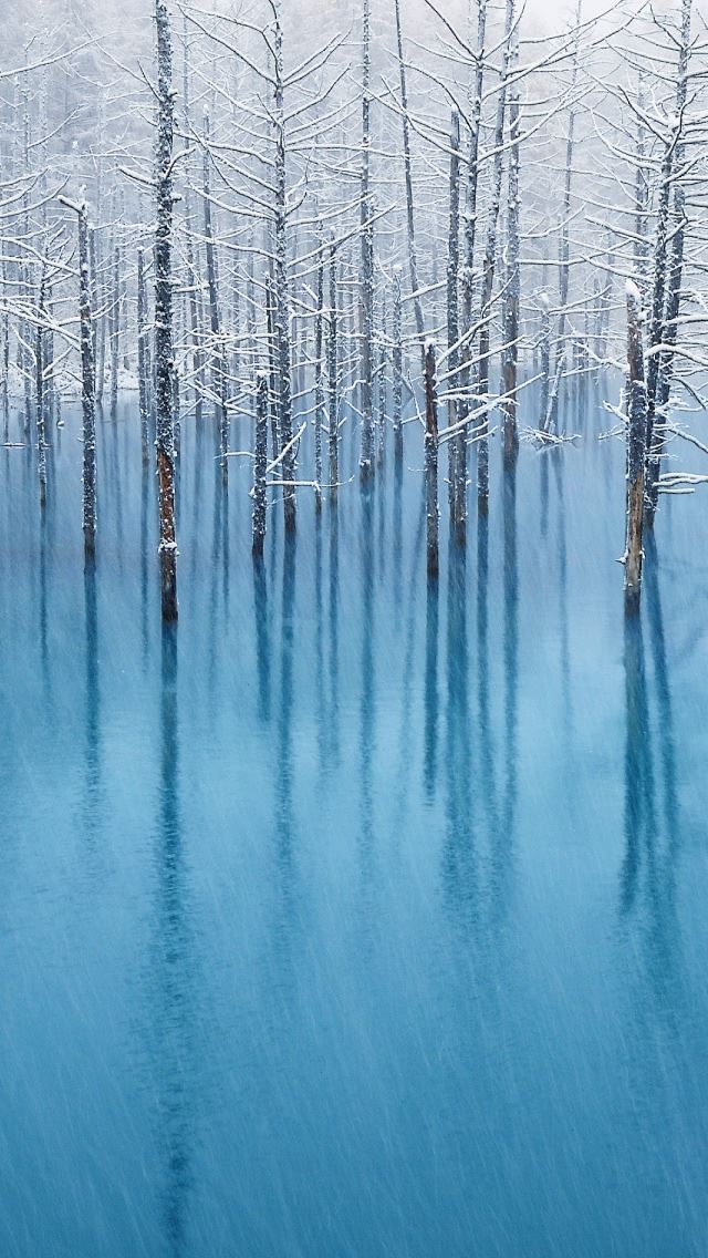 640x1136 Snow Pond - snow iPhone Wallpaper