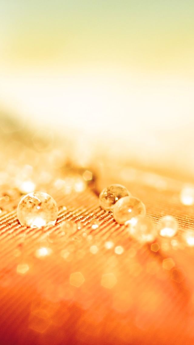 640x1136 Water Resistant - droplet iPhone Wallpaper