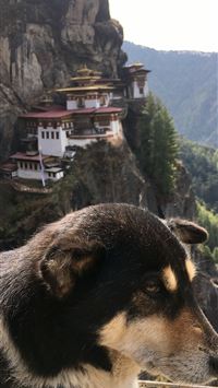 Tiger's Nest Monastery wallpaper