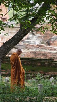 Tiger's Nest Monastery wallpaper