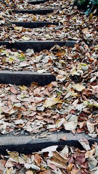 Socotra Island wallpaper