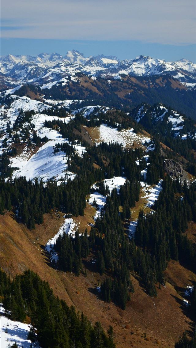 640x1136 Socotra Island - yemen iPhone Wallpaper