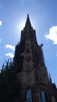 Freudenberg wallpaper