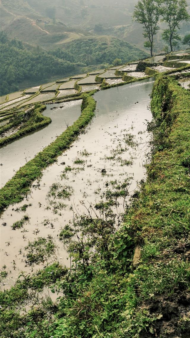 640x1136 Rice Terraces of Vietnam - 100 most beautiful places to visit iPhone Wallpaper