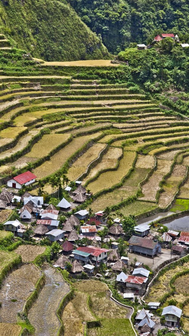 640x1136 Rice Terraces of Vietnam - 100 most beautiful places to visit iPhone Wallpaper