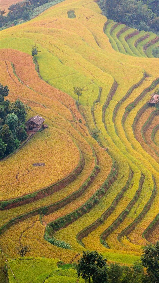640x1136 Rice Terraces of Vietnam - 100 most beautiful places to visit iPhone Wallpaper