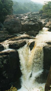 Maranhenses National Park wallpaper