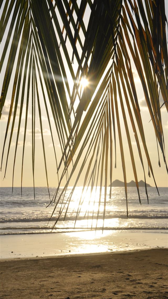 640x1136 Maranhenses National Park - brazil iPhone Wallpaper