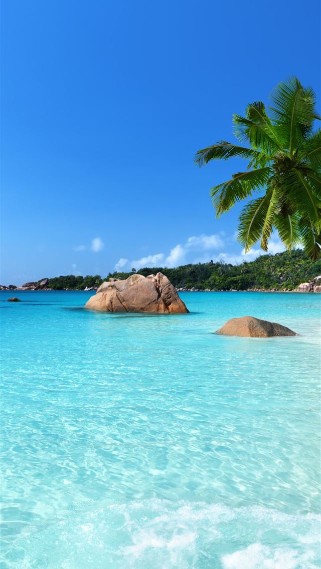 640x1136 Providenciales - turks and caicos islands iPhone Wallpaper