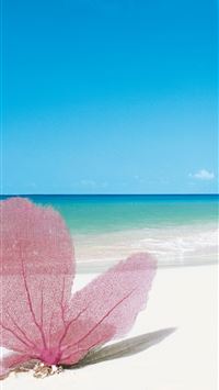 Providenciales wallpaper