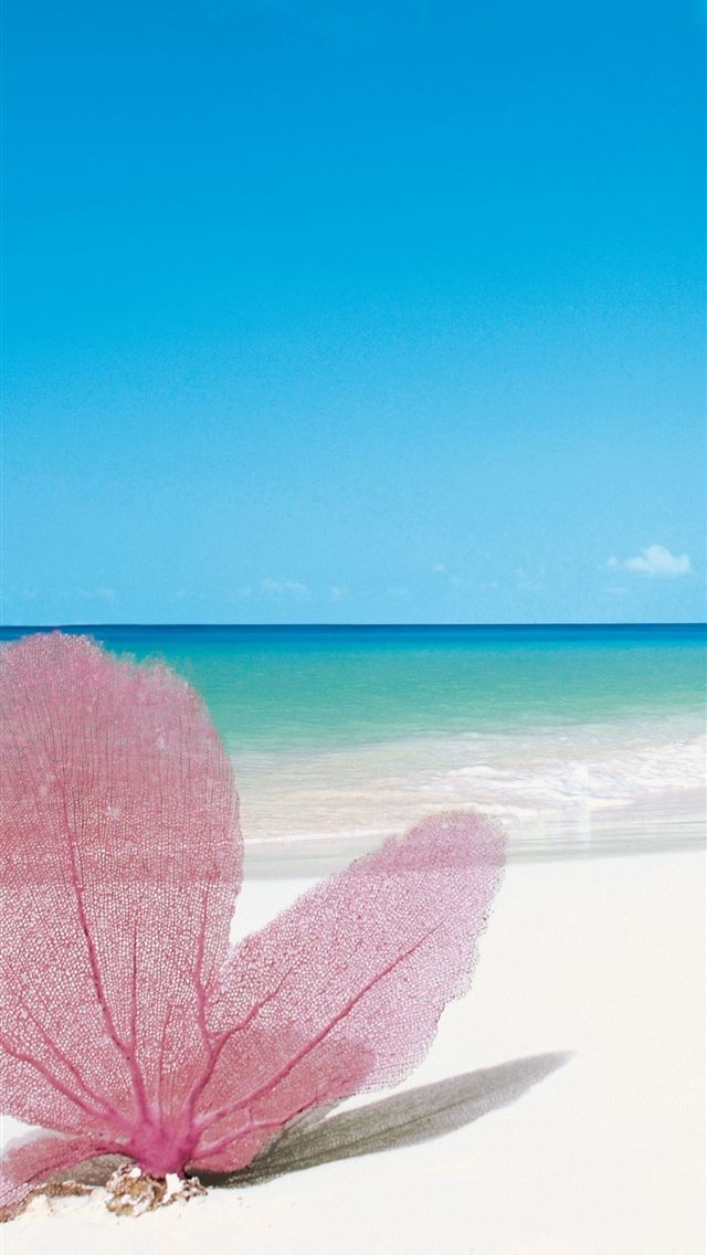 640x1136 Providenciales - turks and caicos islands iPhone Wallpaper