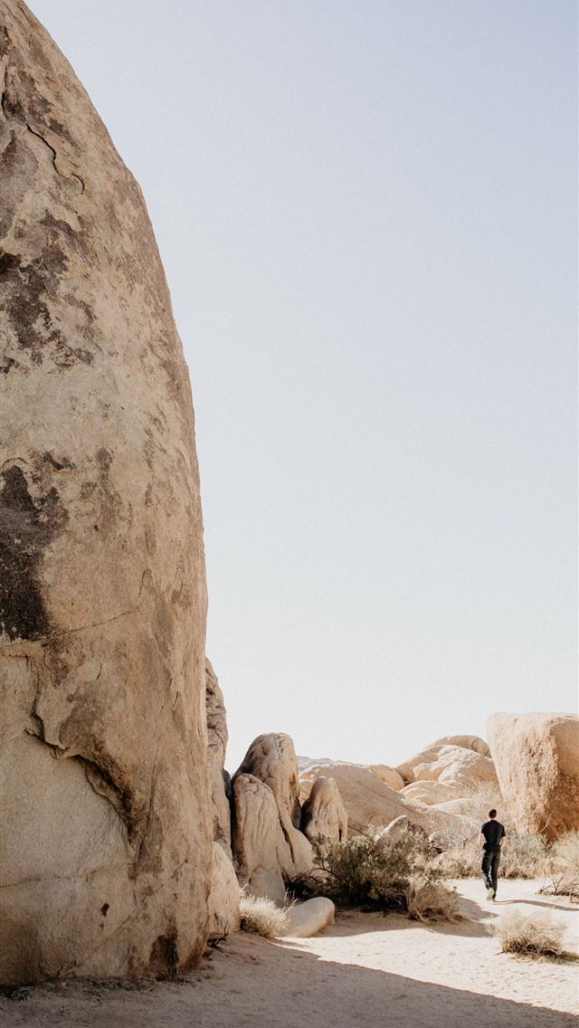 640x1136 Mount Rushmore National Park - south dakota iPhone Wallpaper