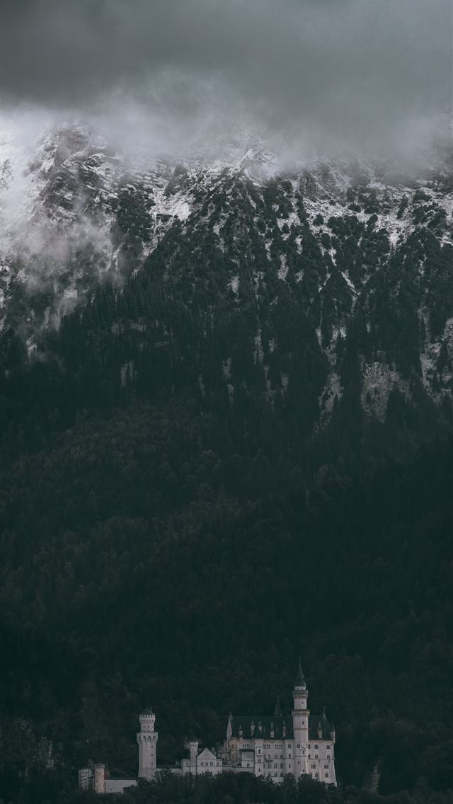 640x1136 castle trees neuschwanstein castle - germany iPhone Wallpaper