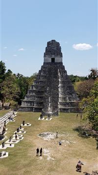 Tikal wallpaper