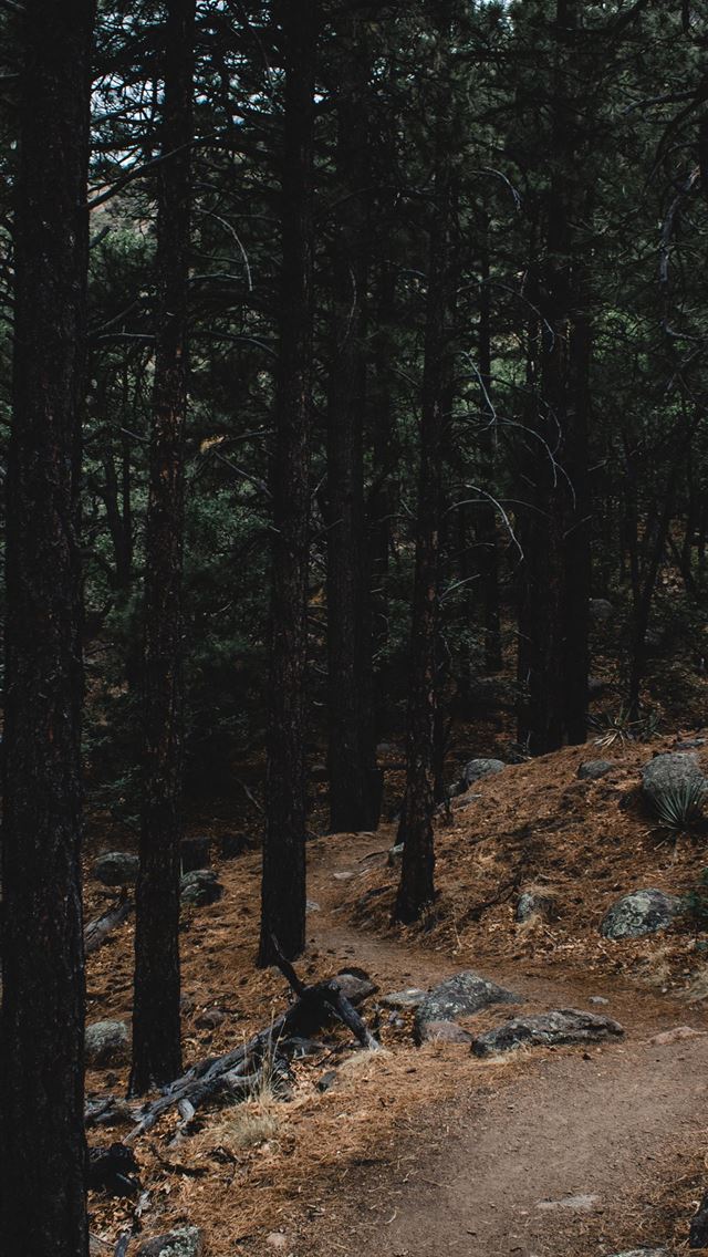 640x1136 Stone Forest - yunnan province iPhone Wallpaper