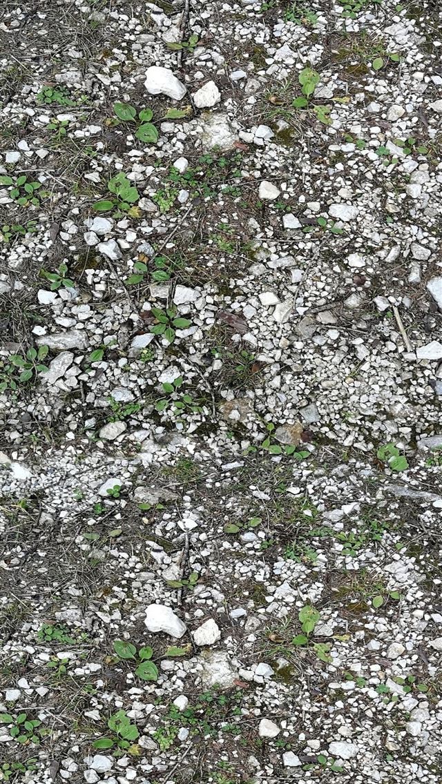 640x1136 Stone Forest - yunnan province iPhone Wallpaper