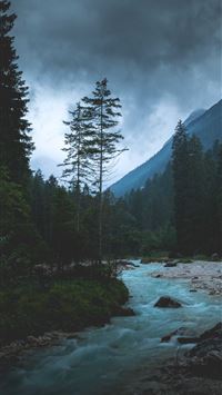 Stone Forest wallpaper