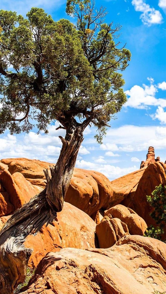 640x1136 Arches National Park - 100 most beautiful places to visit iPhone Wallpaper