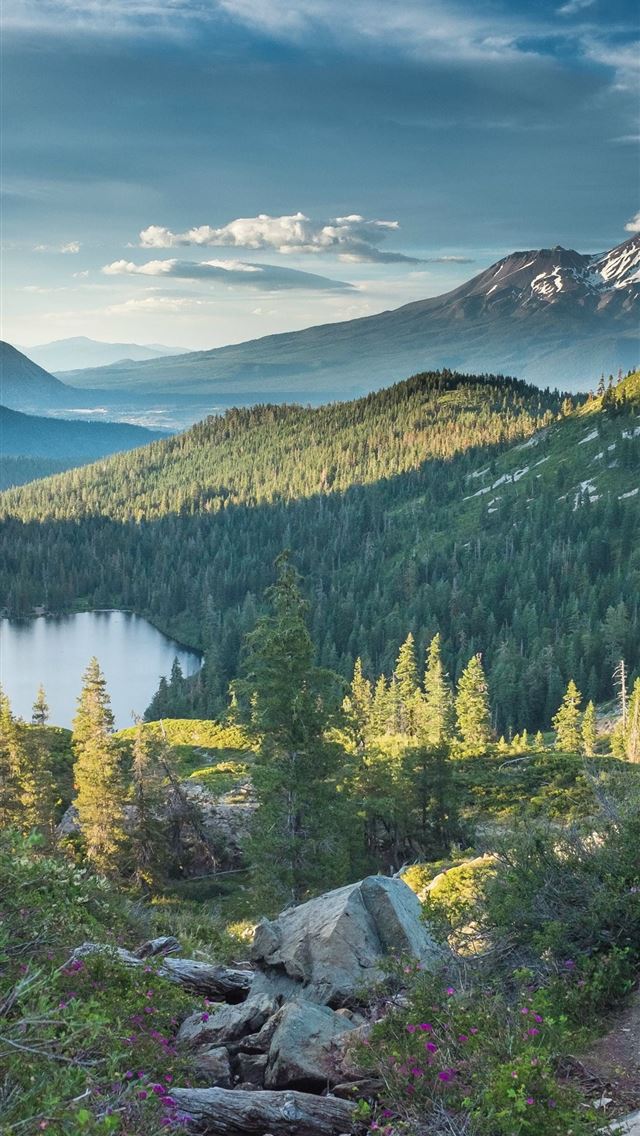 640x1136 Mountain peak near body of water forest Mount Shas... - california iPhone Wallpaper