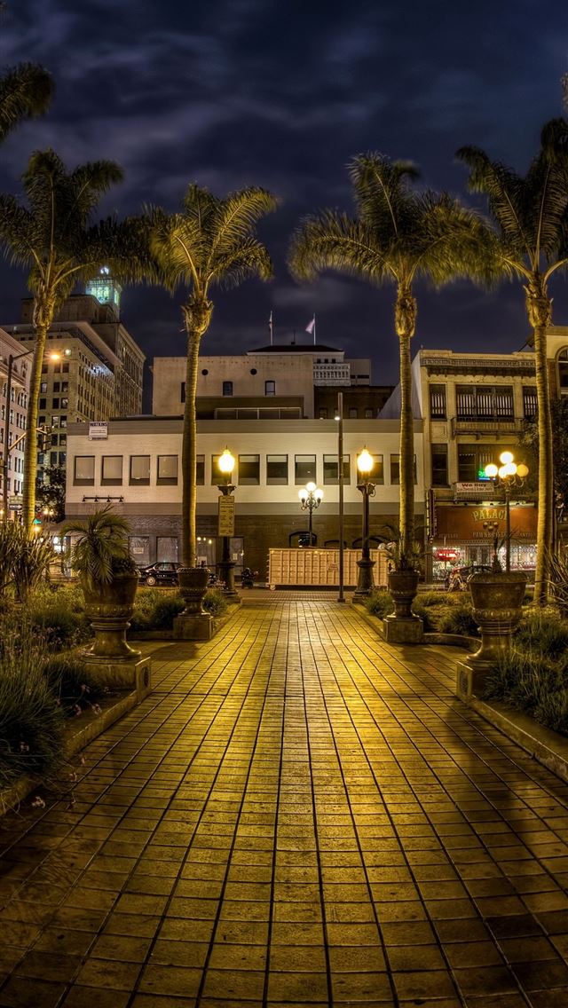 640x1136 Usa San Diego California Trees Palms  - united states iPhone Wallpaper