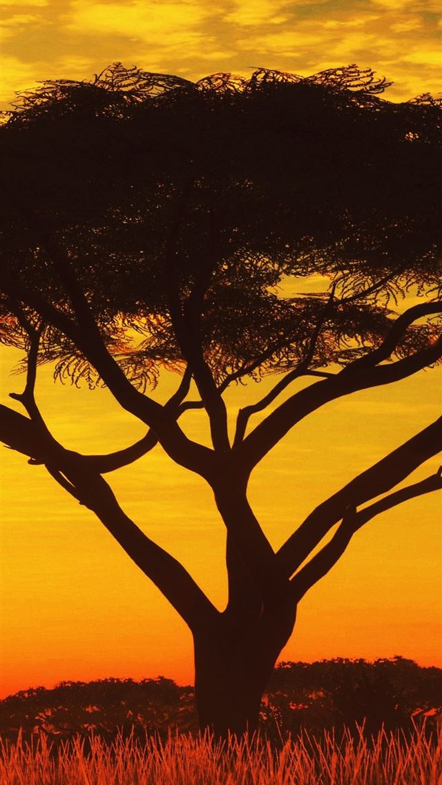 640x1136 Serengeti Sunset 4k Samsung Galaxy Note 9 8 S9 S8 ... - tanzania iPhone Wallpaper