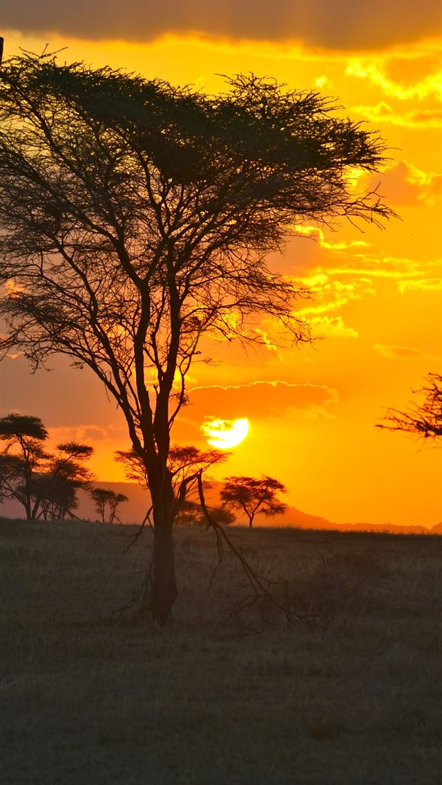 640x1136 Sun setting over the Serengeti - tanzania iPhone Wallpaper