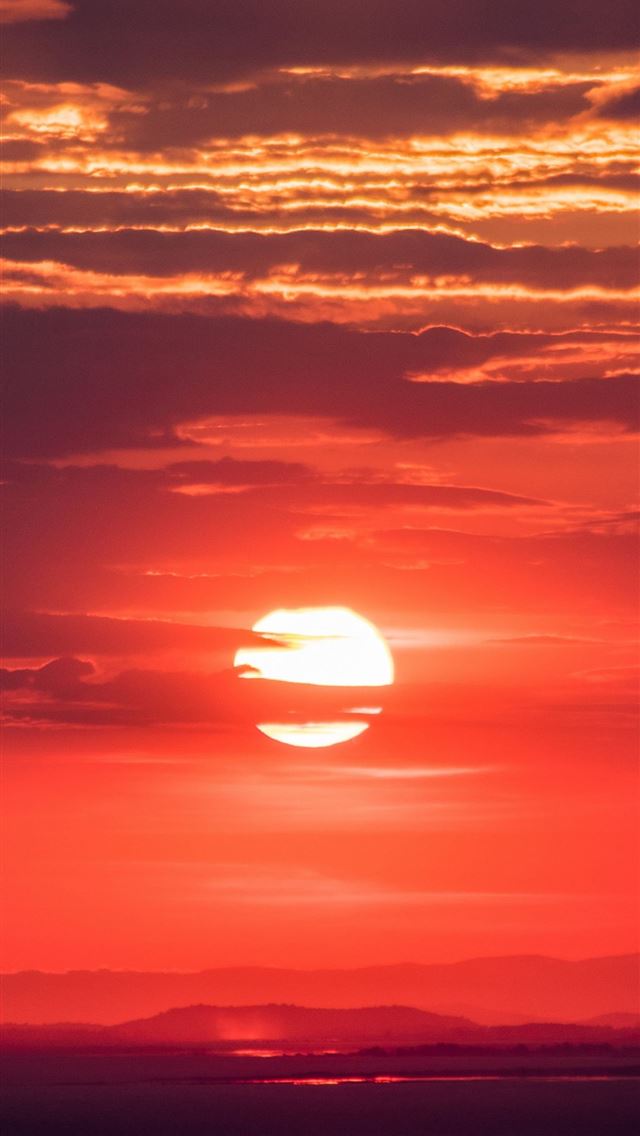 640x1136 Serengeti - tanzania iPhone Wallpaper