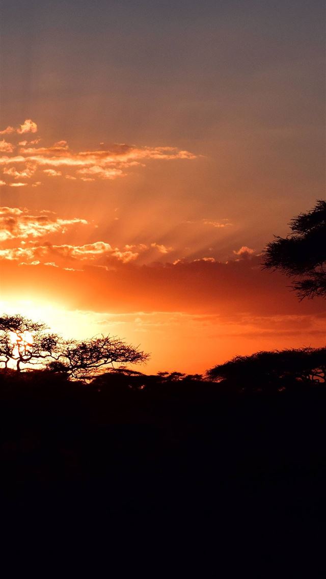 640x1136 Serengeti - tanzania iPhone Wallpaper