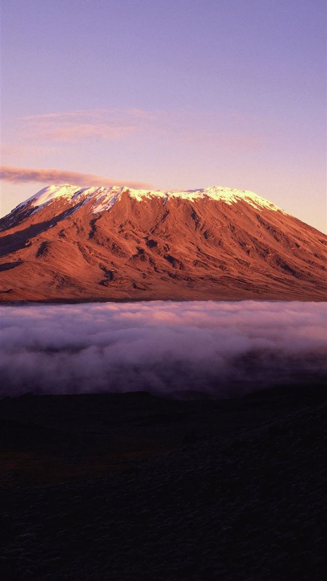 640x1136 Serengeti - tanzania iPhone Wallpaper
