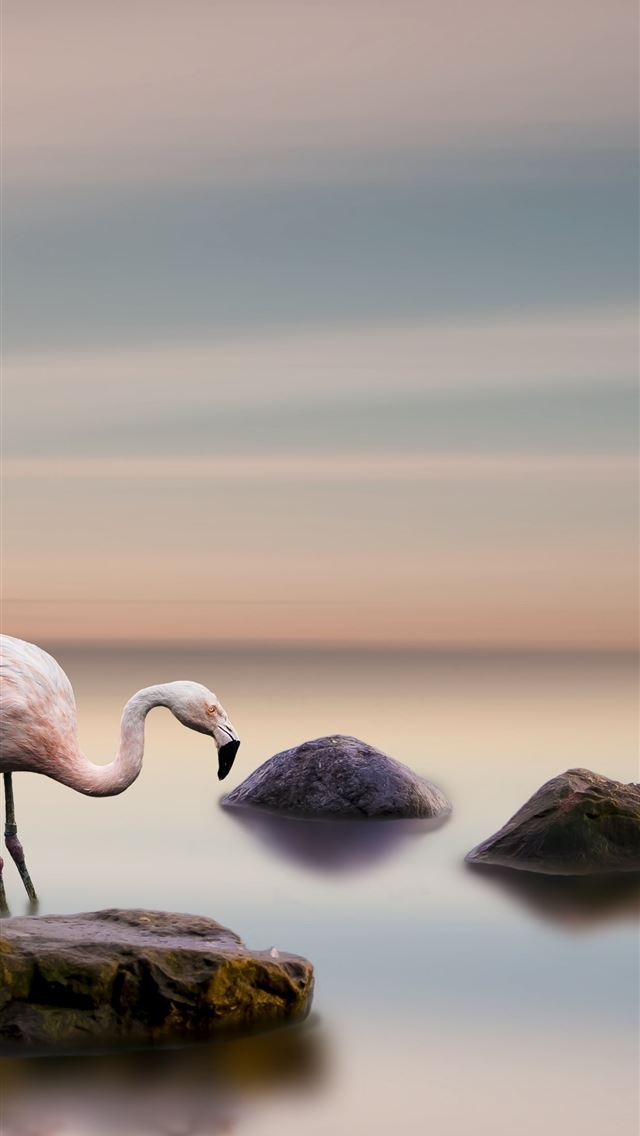 640x1136 Li River - 100 most beautiful places to visit iPhone Wallpaper