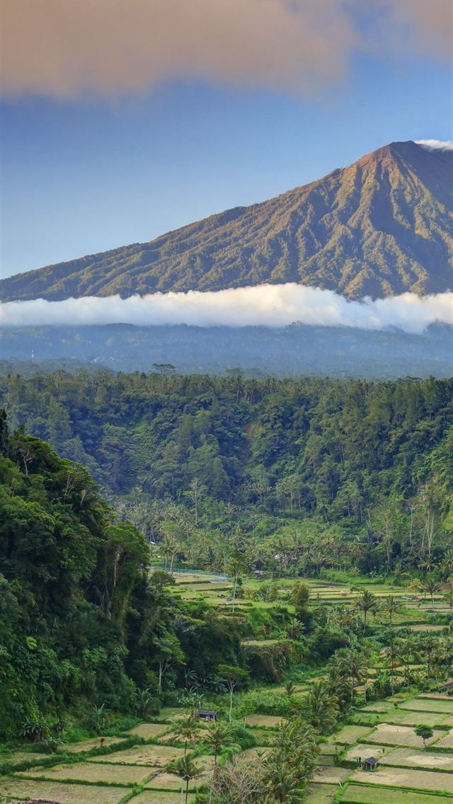 640x1136 Bali palms trees field mountain clouds 5k Nature - indonesia iPhone Wallpaper